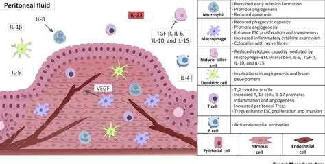 the immunopathophysiology of endometriosis